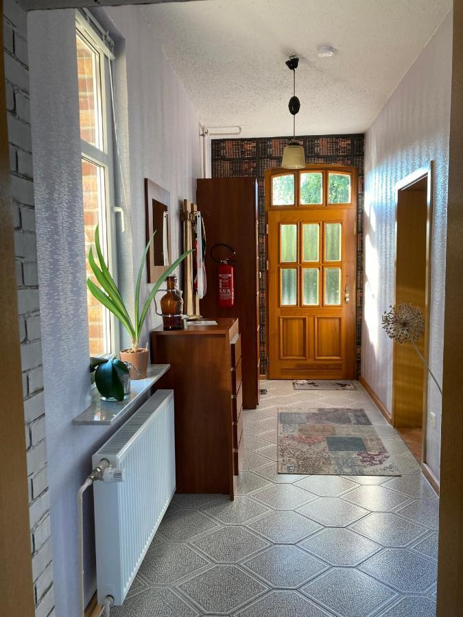 Villa Irene Am Inselsee Muhl Rosin Ngoại thất bức ảnh